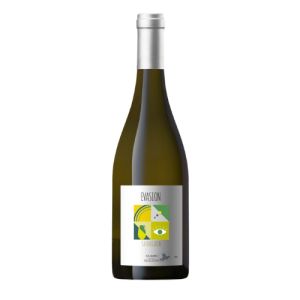 Complices de Loire -  Les Deux Parcelles Sauvignon Blanc